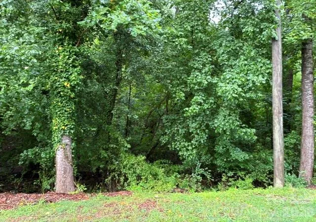 Photo 2 of Land for sale at 285 Acres +/  Kimbrell Ln, Forest City, NC 28043 | MLS# 4403300 | Listing updated on 2026-08-04