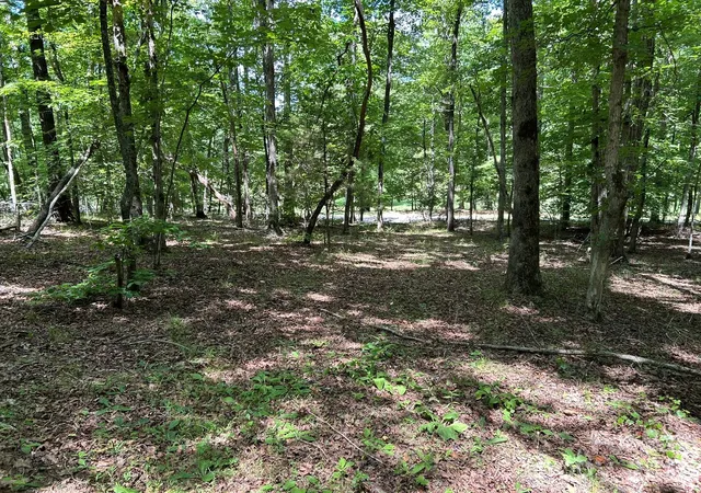Photo 3 of Land for sale at 0 Wilderness Ridge #4, Rutherfordton, NC 28139 | MLS# 4403315 | Listing updated on 2026-09-03