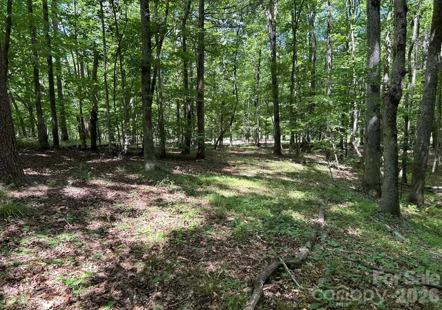 Photo 4 of Land for sale at 0 Wilderness Ridge #4, Rutherfordton, NC 28139 | MLS# 4403315 | Listing updated on 2026-09-03
