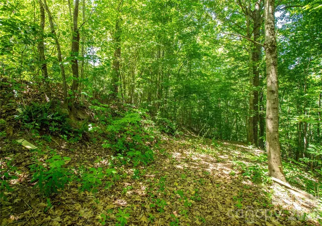 Photo 1 of Land for sale at 71 Timberwood Dr, Asheville, NC 28806 | MLS# 4403342 | Listing updated on 2026-10-05