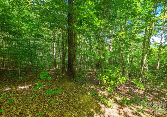 Photo 2 of Land for sale at 71 Timberwood Dr, Asheville, NC 28806 | MLS# 4403342 | Listing updated on 2026-10-05