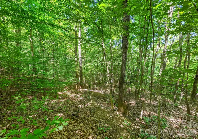 Photo 3 of Land for sale at 71 Timberwood Dr, Asheville, NC 28806 | MLS# 4403342 | Listing updated on 2026-10-05