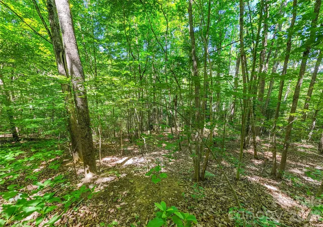 Photo 4 of Land for sale at 71 Timberwood Dr, Asheville, NC 28806 | MLS# 4403342 | Listing updated on 2026-10-05