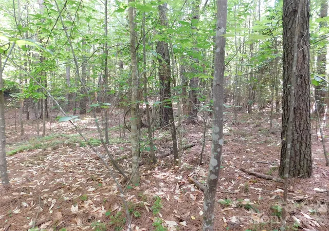 2nd image of 207 W Settings Blvd Nw, Morganton, NC 28655 | MLS# 4403384