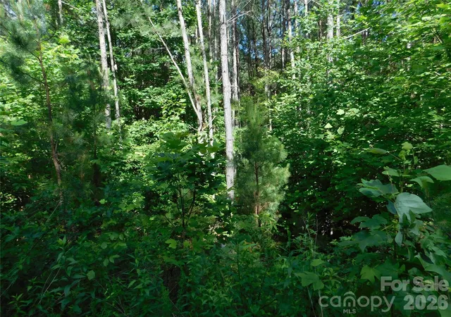 3rd image of 207 W Settings Blvd Nw, Morganton, NC 28655 | MLS# 4403384