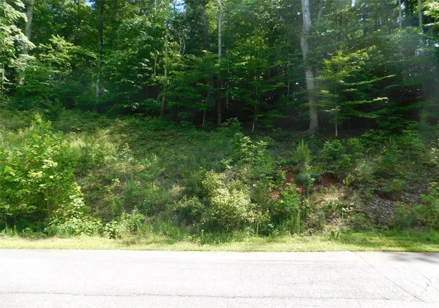 3rd image of 305 E Settings Blvd Nw #95, Morganton, NC 28655 | MLS# 4403395