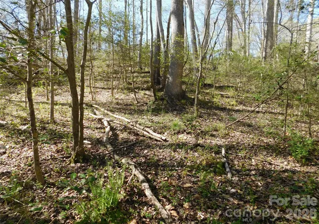 Photo 3 of Land for sale at 3242 Highway 73, Iron Station, NC 28080 | MLS# 4403406 | Listing updated on 2026-10-03