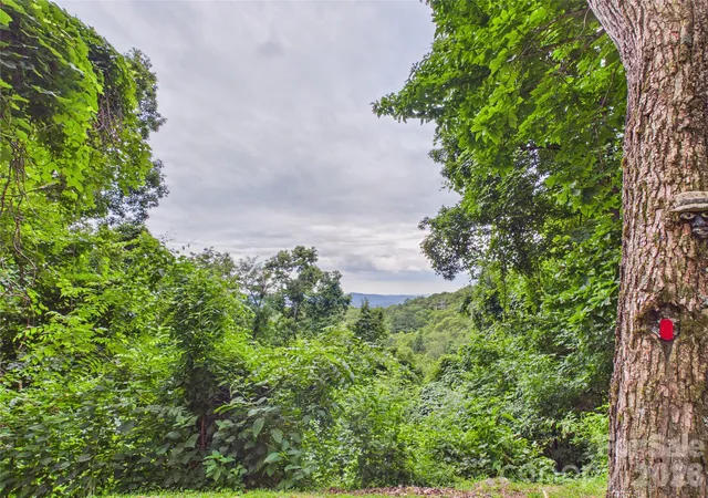 47th image of 7904 Pinnacle Wind Ln, Lenoir, NC 28645 | MLS# 4403443