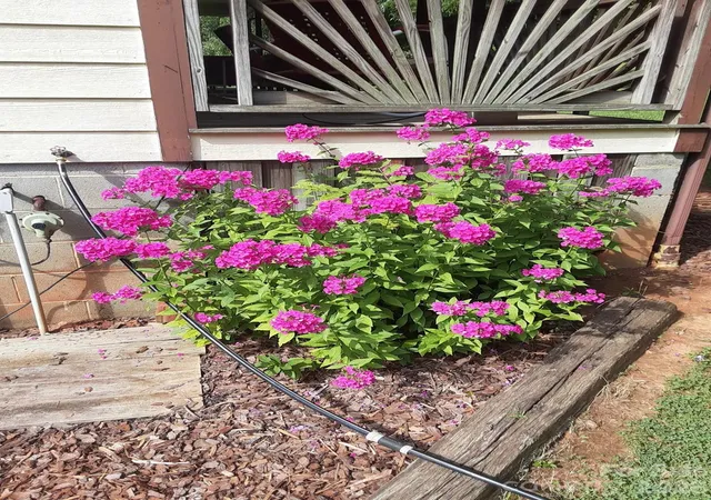 Photo 44 of Single family home for sale at 3323 Sadler Rd, Alexis, NC 28006 | MLS# 4403471 | Listing updated on 2026-09-25