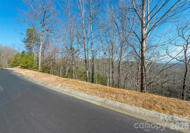 3rd image of 99999 Mills River Way #108, Horse Shoe, NC 28742 | MLS# 4403481