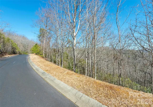4th image of 99999 Mills River Way #108, Horse Shoe, NC 28742 | MLS# 4403481