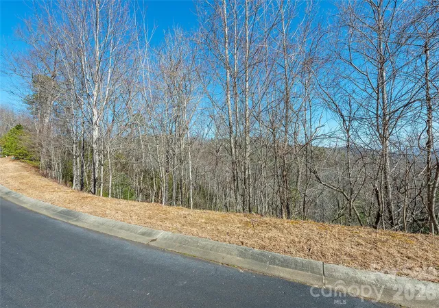 5th image of 99999 Mills River Way #108, Horse Shoe, NC 28742 | MLS# 4403481