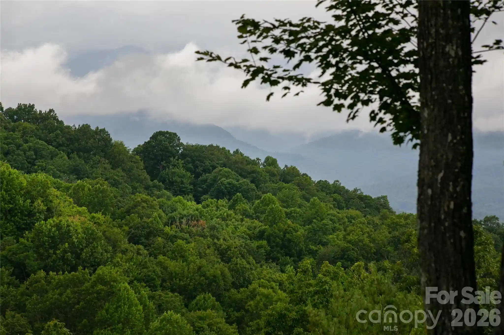 Listing Photo 2 - Condo for sale in 264 Tinequa Dr located at 264 Tinequa Dr, Brevard, NC 28712 - Unit 264 Tinequa Dr