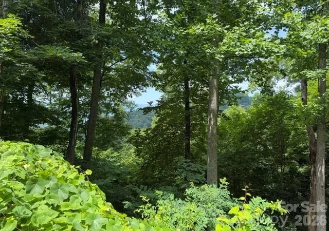 1st image of Lot 22 Spring Rock Rd, Burnsville, NC 28714 | MLS# 4403516