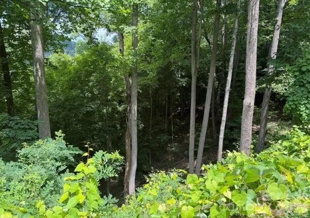 2nd image of Lot 22 Spring Rock Rd, Burnsville, NC 28714 | MLS# 4403516