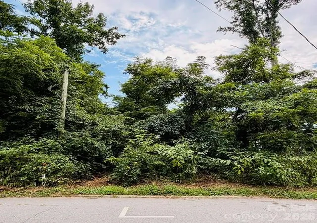 3rd image of 99999 Fairfax Ave, Asheville, NC 28806 | MLS# 4403521