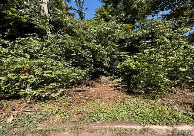 4th image of 99999 Fairfax Ave, Asheville, NC 28806 | MLS# 4403521
