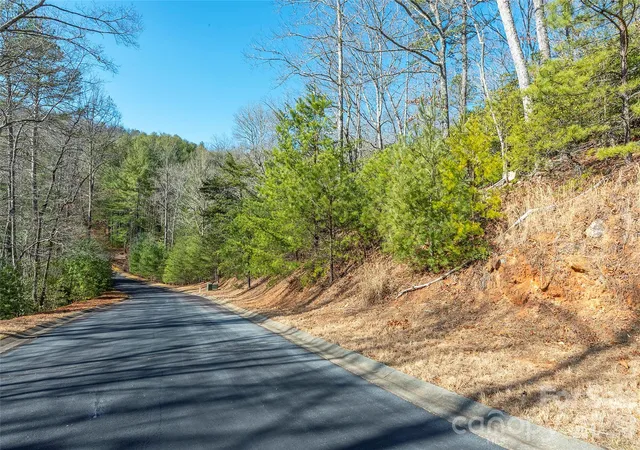 2nd image of 99999 Caddis Ln #92, Horse Shoe, NC 28742 | MLS# 4403604