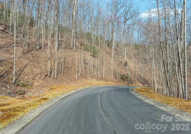 1st image of Lot 11 Shining Rock Path, Horse Shoe, NC 28742 | MLS# 4403672