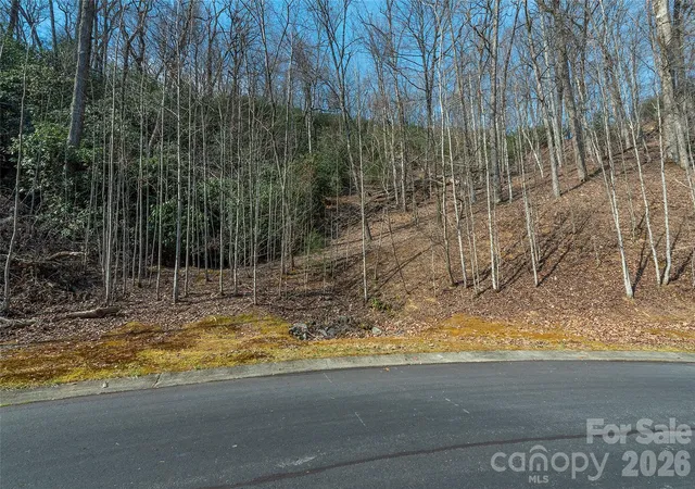 3rd image of Lot 11 Shining Rock Path, Horse Shoe, NC 28742 | MLS# 4403672