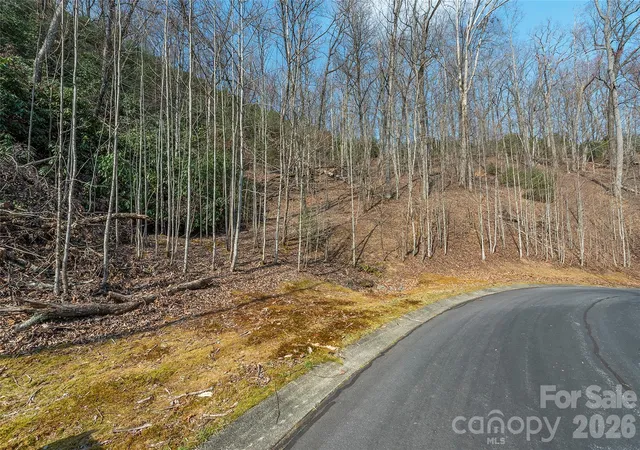 2nd image of Lot 12 Shining Rock Path, Horse Shoe, NC 28742 | MLS# 4403679