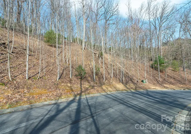 3rd image of Lot 12 Shining Rock Path, Horse Shoe, NC 28742 | MLS# 4403679