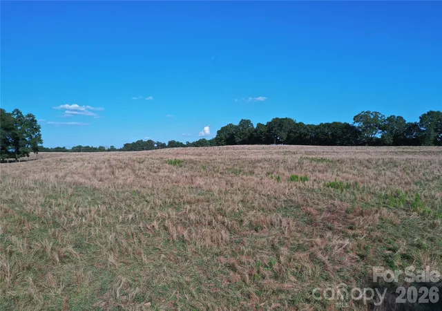 3rd image of 328 Sandy Run Church Rd, Mooresboro, NC 28114 | MLS# 4403822