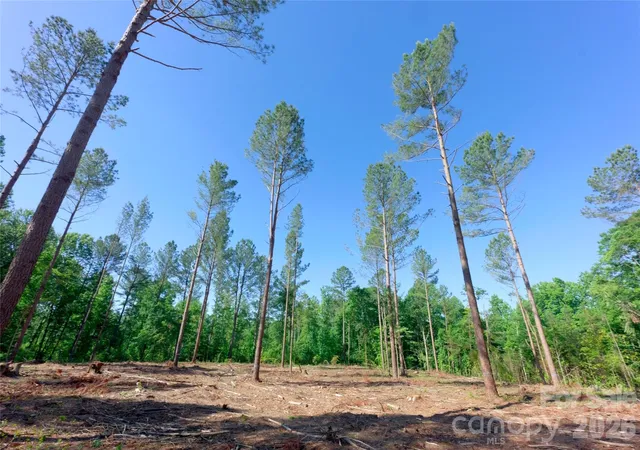 3rd image of 0 Carson Rd #6, Cleveland, NC 27013 | MLS# 4403833