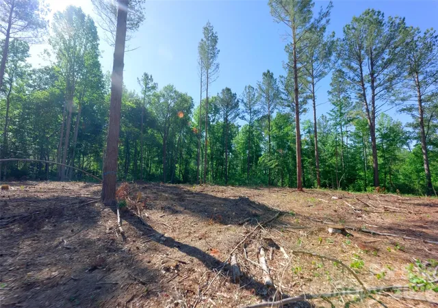 5th image of 0 Carson Rd #6, Cleveland, NC 27013 | MLS# 4403833