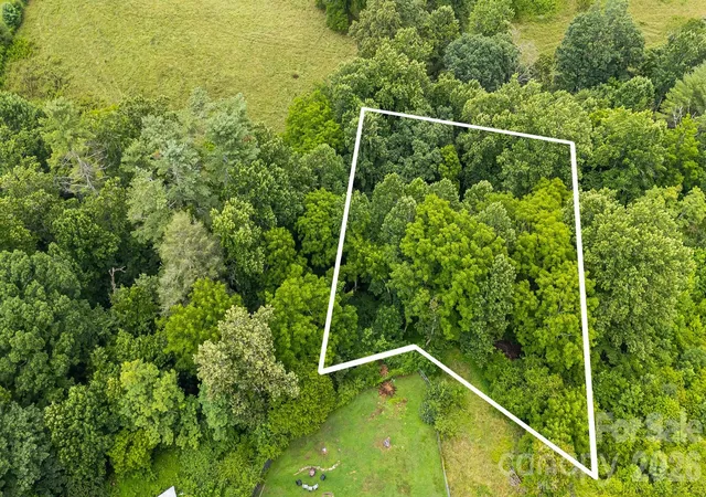 Photo 1 of Land for sale at 9999 Old Nc 20 Hwy, Alexander, NC 28701 | MLS# 4403839 | Listing updated on 2026-08-01