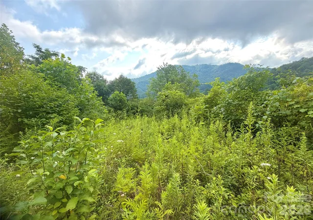 Photo 4 of Land for sale at 00 Trillium Way, Clyde, NC 28721 | MLS# 4403848 | Listing updated on 2026-09-07