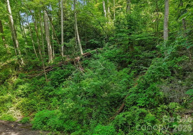 Photo 2 of Land for sale at Tbd Indian Fls Rd, Asheville, NC 28803 | MLS# 4403855 | Listing updated on 2026-07-16