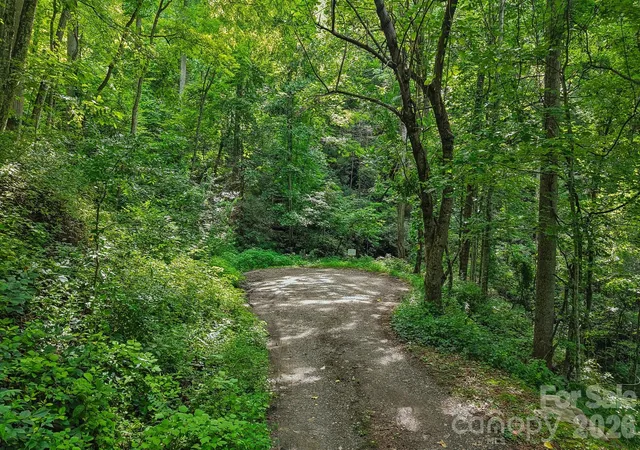 Photo 3 of Land for sale at Tbd Indian Fls Rd, Asheville, NC 28803 | MLS# 4403855 | Listing updated on 2026-07-16