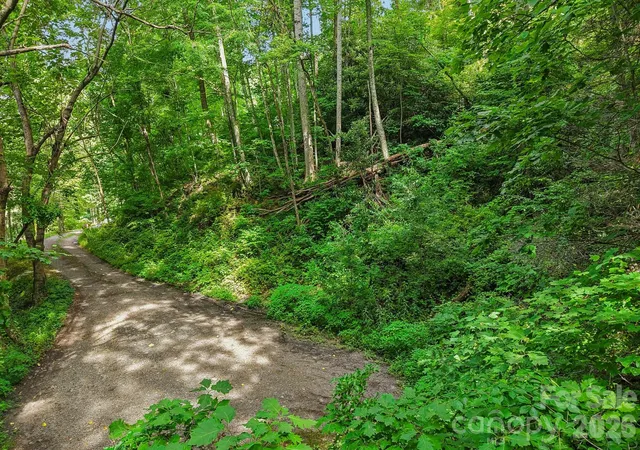 Photo 3 of Land for sale at Tbd Indian Fls Rd, Asheville, NC 28803 | MLS# 4403855 | Listing updated on 2026-07-16