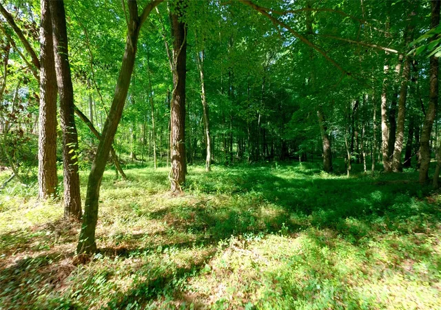 4th image of 0 Carson Rd #5, Cleveland, NC 27013 | MLS# 4403870