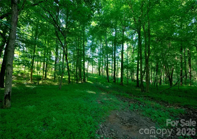 5th image of 0 Carson Rd #5, Cleveland, NC 27013 | MLS# 4403870