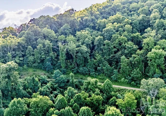 3rd image of 42 High Rock View Dr, Canton, NC 28716 | MLS# 4403886