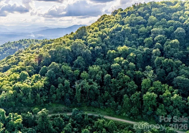 4th image of 42 High Rock View Dr, Canton, NC 28716 | MLS# 4403886