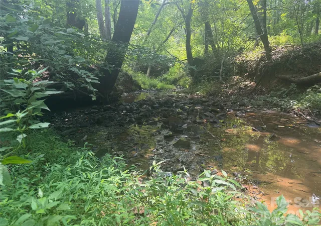 5th image of 00 Cherryville Rd, Cherryville, NC 28021 | MLS# 4403897