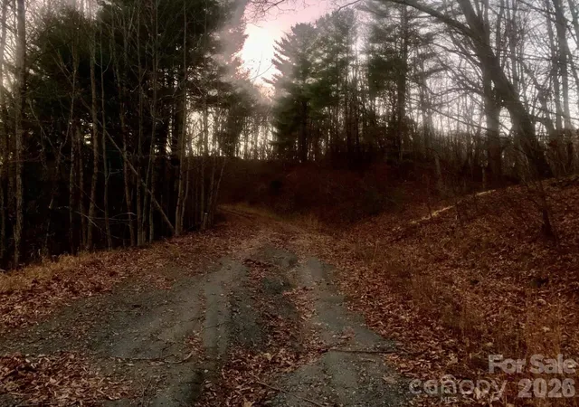 Photo 5 of Land for sale at Lot 18 West Crk Rd, Warrensville, NC 28693 | MLS# 4403971 | Listing updated on 2026-07-20