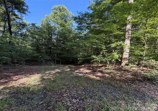 Photo 2 of Land for sale at 0 Greenhill Farms Dr #15, Rutherfordton, NC 28139 | MLS# 4404041 | Listing updated on 2026-07-15
