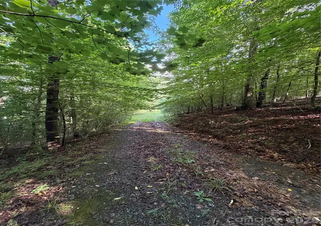 Photo 3 of Land for sale at 0 Greenhill Farms Dr #15, Rutherfordton, NC 28139 | MLS# 4404041 | Listing updated on 2026-07-15