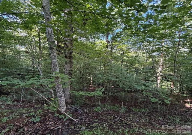 Photo 4 of Land for sale at 0 Greenhill Farms Dr #15, Rutherfordton, NC 28139 | MLS# 4404041 | Listing updated on 2026-07-15