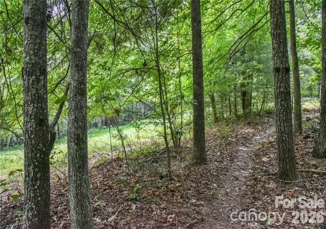 image of 19 Laurel Loop Rd, Fairview, NC 28730 | MLS# 4404088