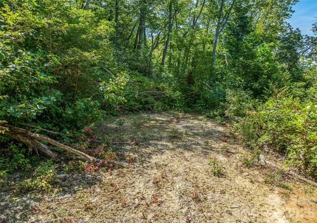3rd image of 632 Justus Case Mountain Pl, Hendersonville, NC 28792 | MLS# 4404137