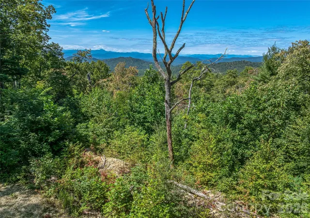 4th image of 632 Justus Case Mountain Pl, Hendersonville, NC 28792 | MLS# 4404137