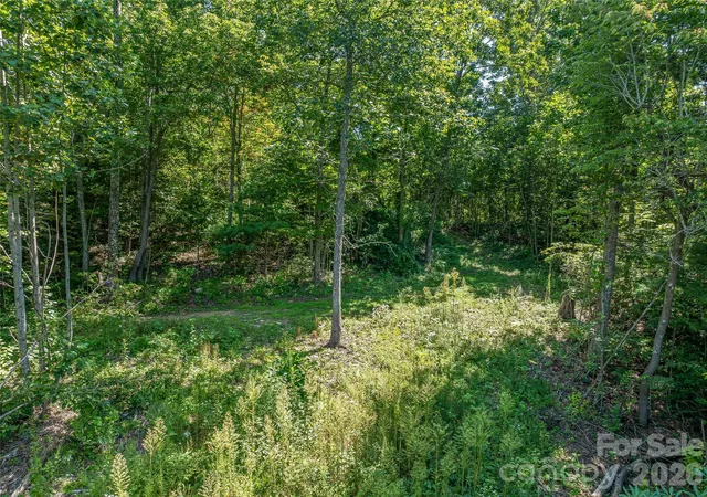 5th image of 632 Justus Case Mountain Pl, Hendersonville, NC 28792 | MLS# 4404137
