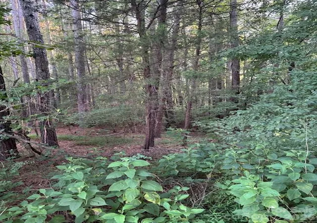 Photo 2 of Land for sale at Lot 1 Mathis Church Rd #Approx 3 acres, Catawba, NC 28609 | MLS# 4404153 | Listing updated on 2026-10-01