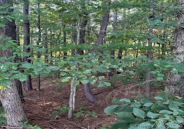 Photo 2 of Land for sale at Lot 2 Mathis Church Rd, Catawba, NC 28609 | MLS# 4404166 | Listing updated on 2026-09-02