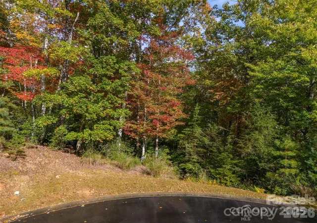 2nd image of 99999 Caddis Ln #91, Horse Shoe, NC 28742 | MLS# 4404169